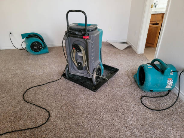 Best Water damage repair service  in Port Orange, FL