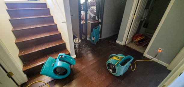 Best Emergency water extraction  in Port Orange, FL