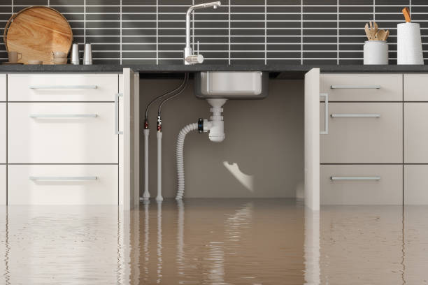 Best Water damage contractors near me  in Port Orange, FL