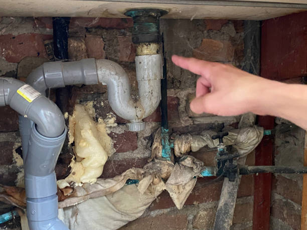 Best Water damage restoration near me  in Port Orange, FL