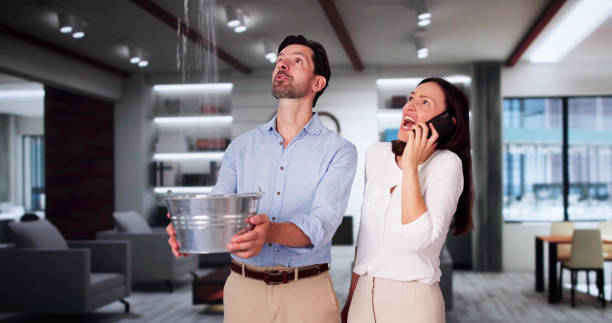 Best Carpet water damage restoration  in Port Orange, FL