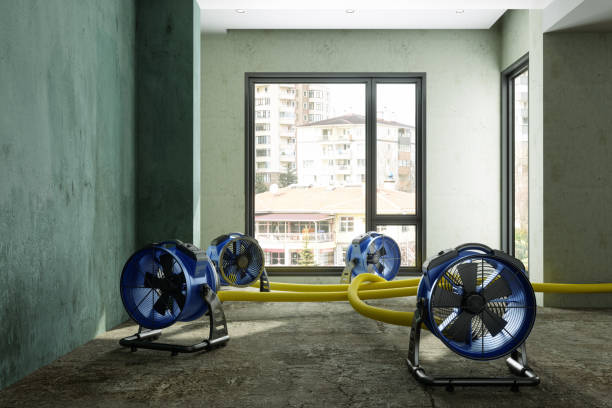 Best Water damage restoration near me  in Port Orange, FL